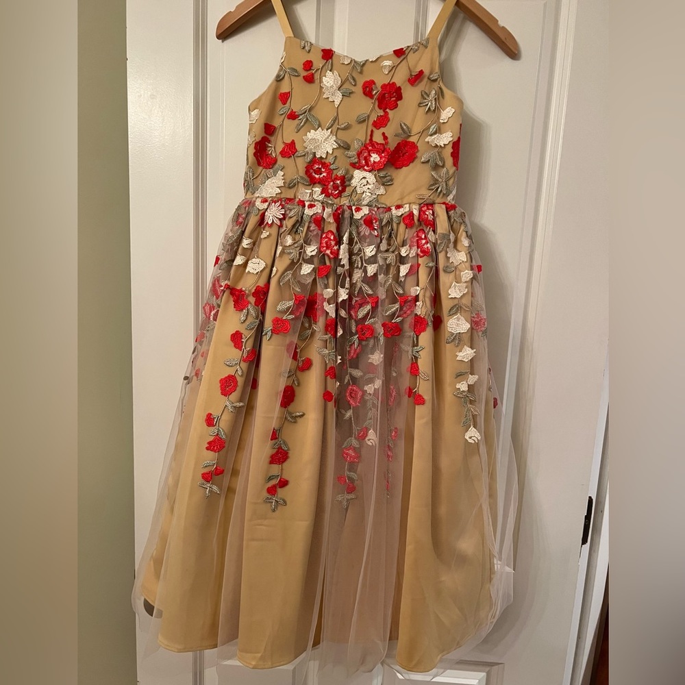 Chasing Fireflies special occasion dress